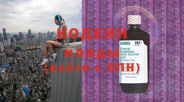 индика Кукмор