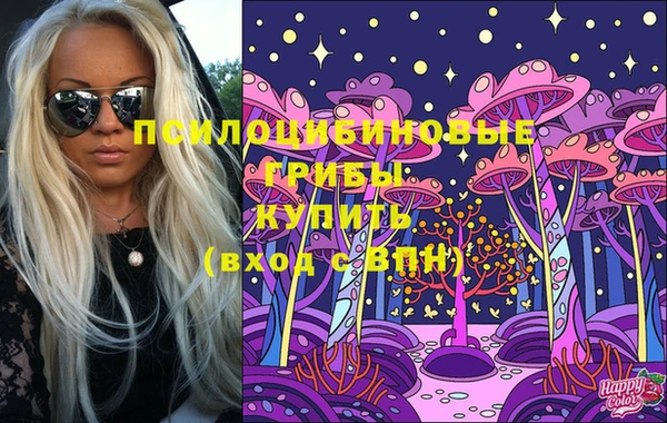 индика Кукмор