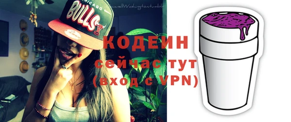 индика Кукмор