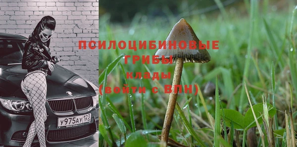 ALPHA PVP Кулебаки