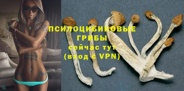 индика Кукмор