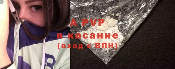 индика Кукмор