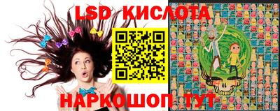 индика Абакан
