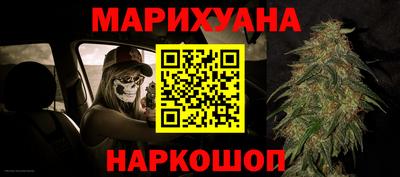 индика Абакан