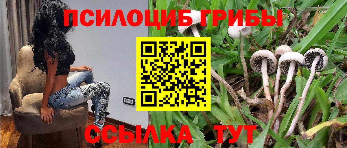 Псилоцибиновые грибы Psilocybine cubensis Альметьевск