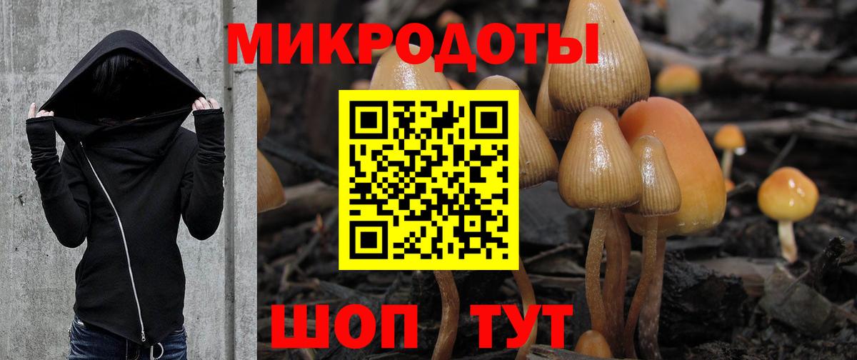 Альметьевск  Галлюциногенные грибы GOLDEN TEACHER  Вход с VPN  Псилоцибиновые грибы Psilocybine cubensis 
