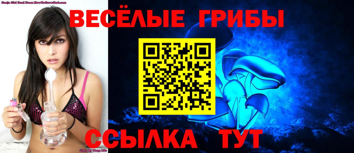 Галлюциногенные грибы Cubensis  Галлюциногенные грибы Psilocybe  Альметьевск 