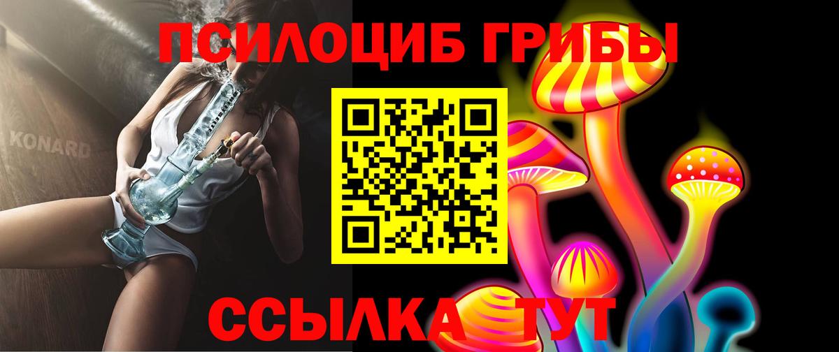 Галлюциногенные грибы прущие грибы Альметьевск